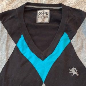 Express XL V-Neck Sweater